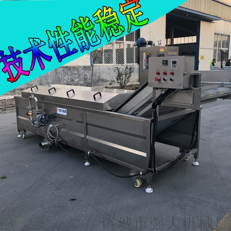 金針菇清洗漂燙機(jī) 全自動(dòng)漂燙流水線