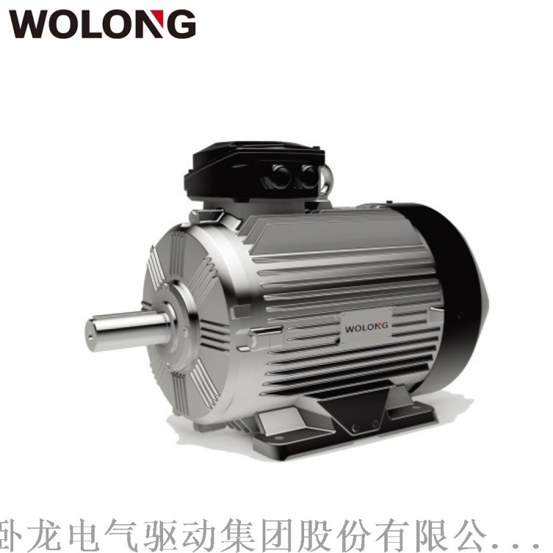臥龍WE4系列YE4一級(jí)能效超  效電機(jī)適用水泵、風(fēng)機(jī)、機(jī)床
