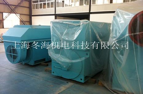 6KV高壓稀土永磁電機 (TYX4505-4-710KW)