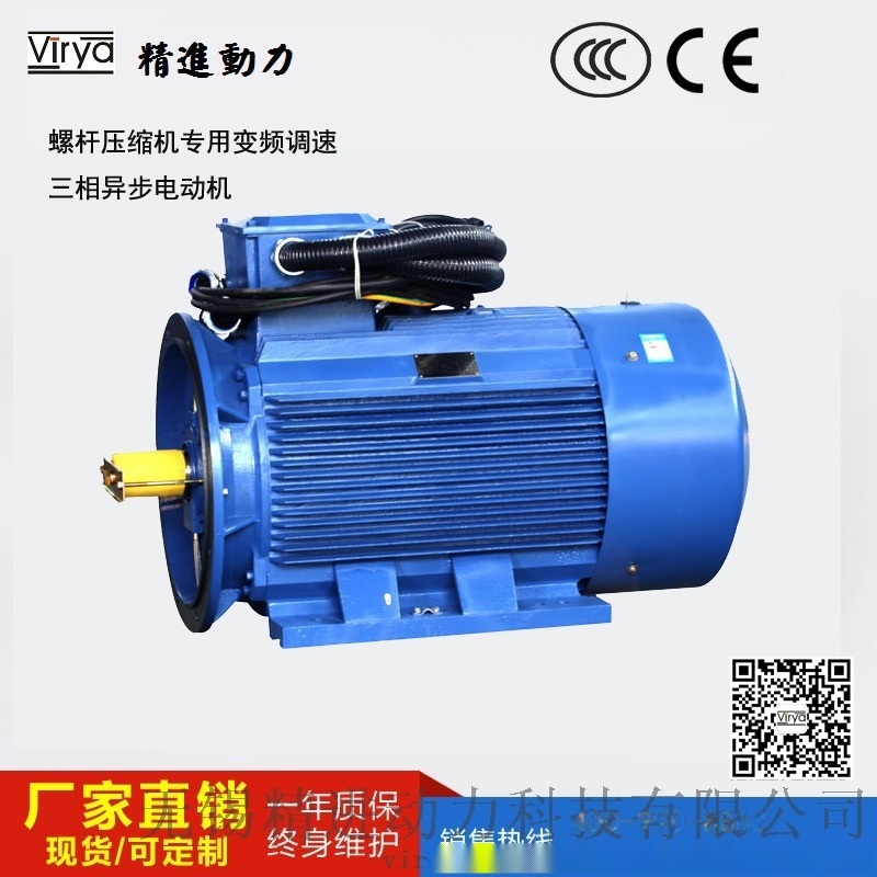 螺桿壓縮機(jī)專用電機(jī)Virya