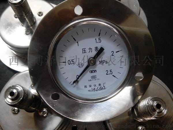 工況儀表、WSS-481萬向型雙金屬溫度計