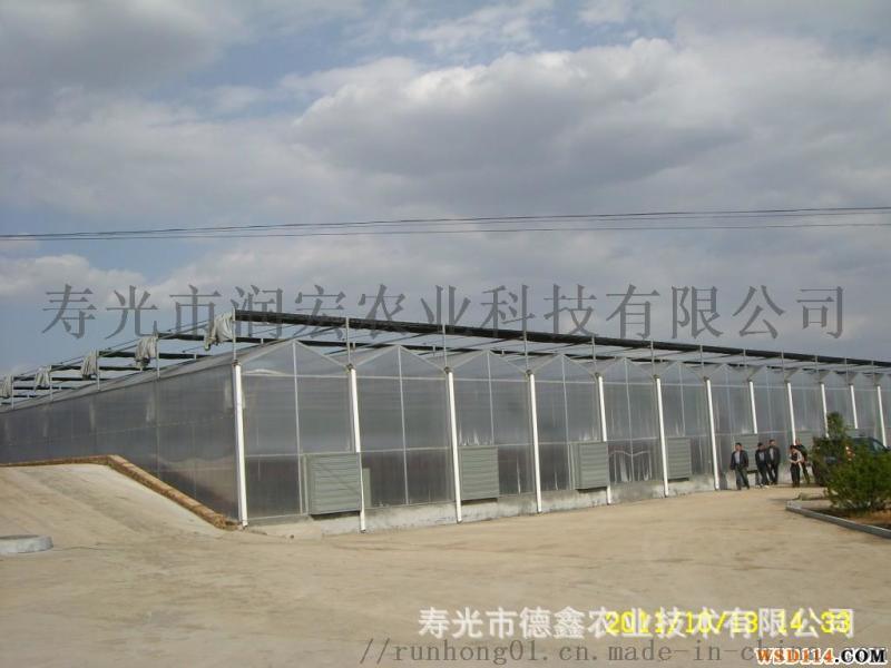 大型連棟溫室 無(wú)土栽培 草莓種植大棚