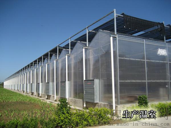 山東五合陽(yáng)光板溫室大棚