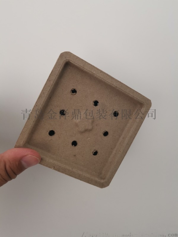 綠色環?？山到飧邚姸燃垵{托